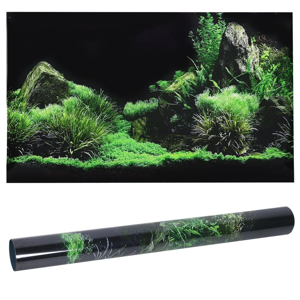 Aquarium Fish For Sale Online - Hintergrund für Aquarium 3d Aufkleber Poster