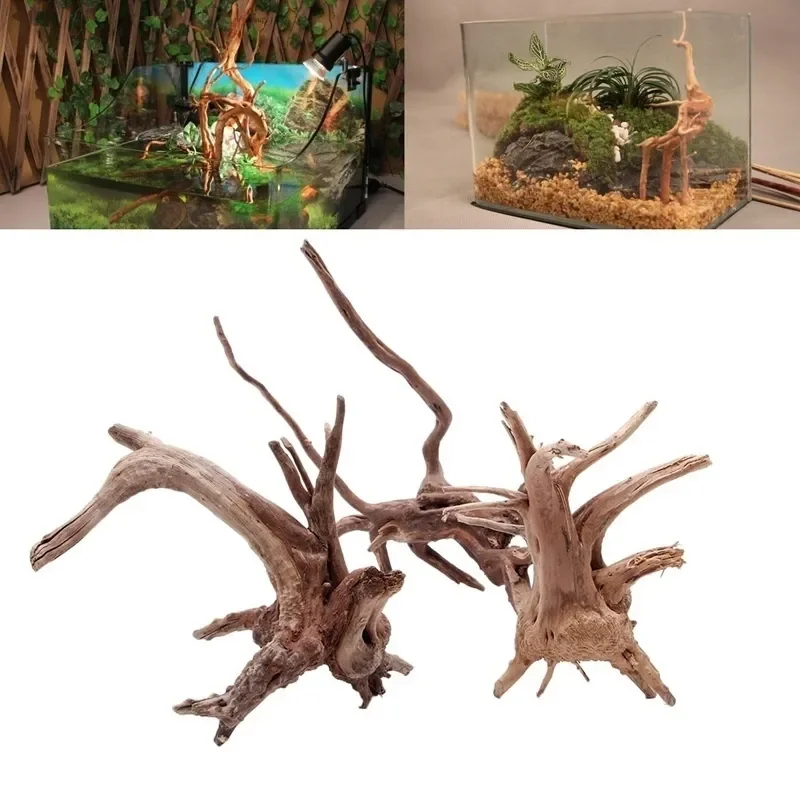 Aquarium Fish For Sale Online - Natürlicher Baumstamm Treibholz Aquarium Aquarium Reptilien