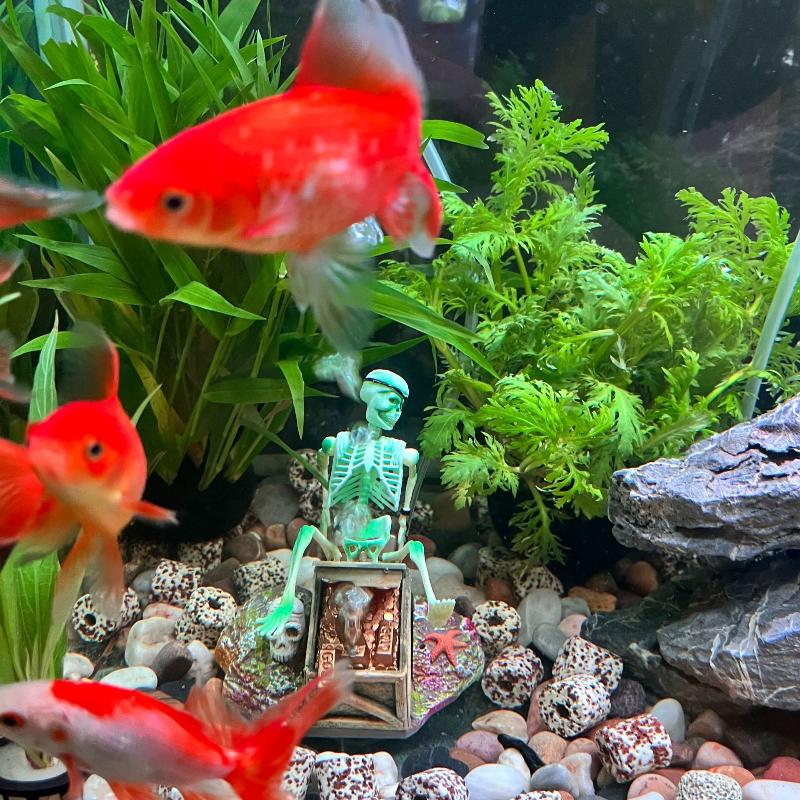 Aquarium Fish For Sale Online - Aquarium Aerobic Landschaft Blase Luftpumpe Spaß