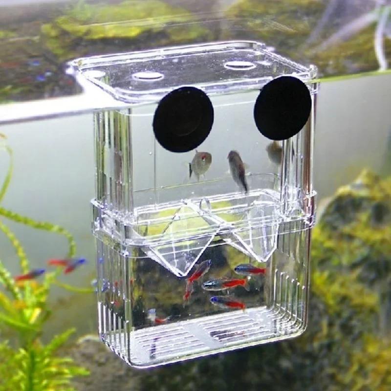 Live Fish Aquarium - Transparente Fisch Aquarium Hohe Klare Zucht