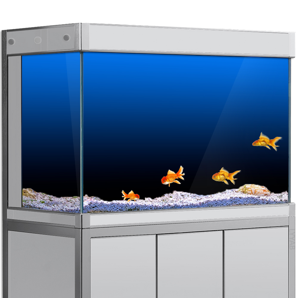 Aquarium Fish Black - Aquarium Hintergrund Aufkleber Schwarz Grün Blau