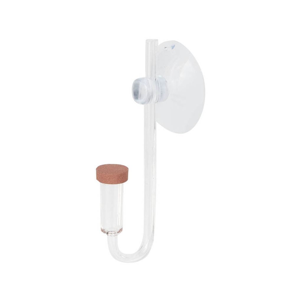 Live Fish Aquarium - Acryl Mini Aquarium Live Pflanze U
