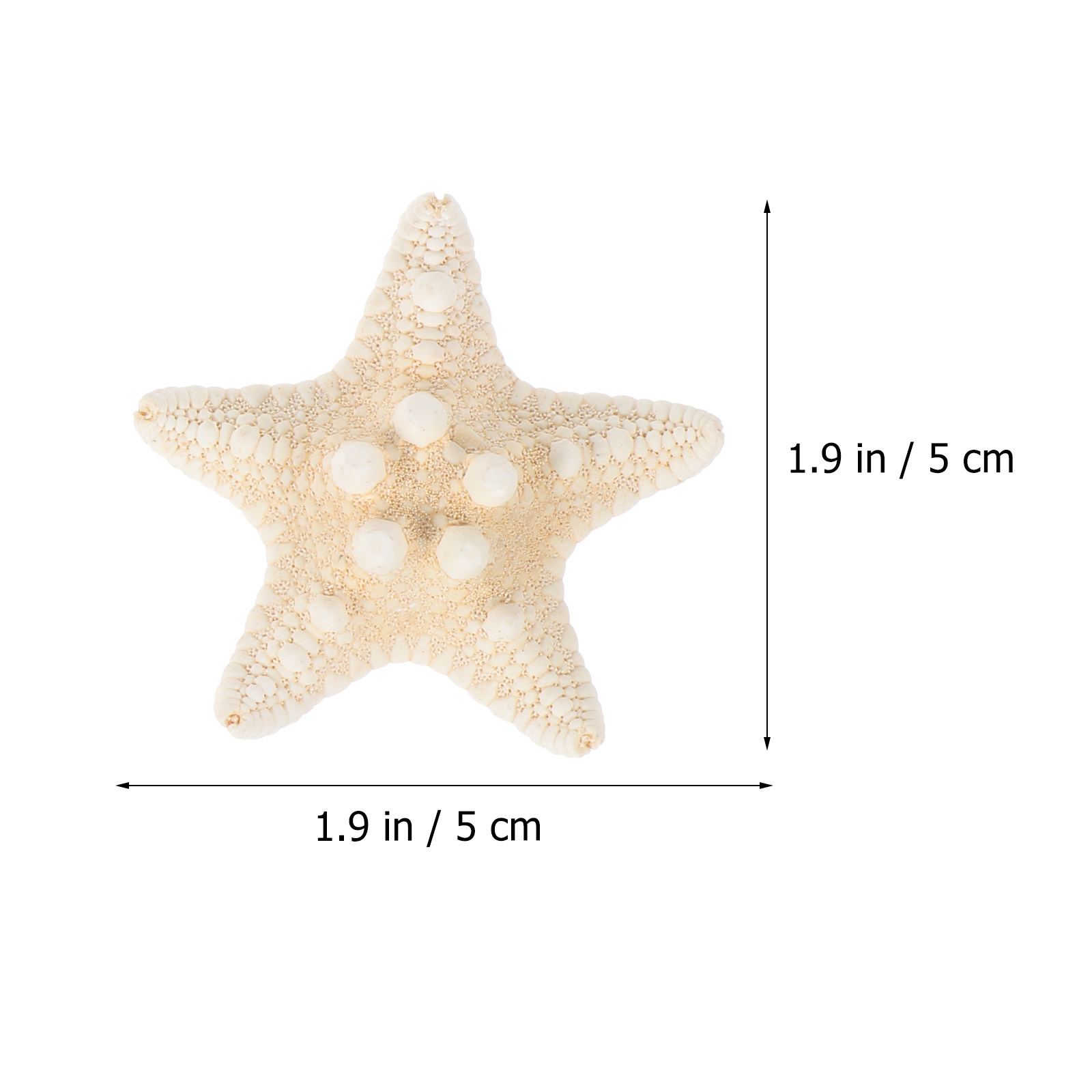 2-teiliges Meerescharme-Set, N – Live Fish Aquarium Bewertung und Preis