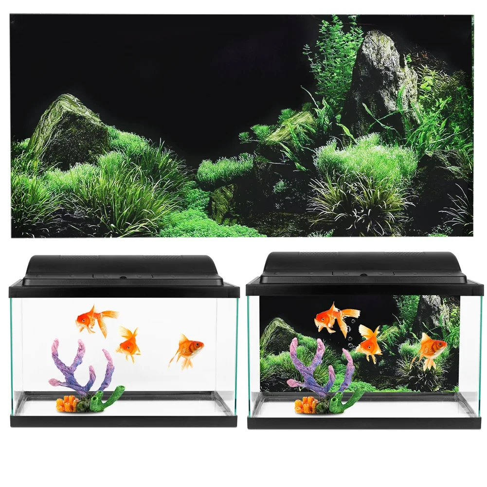 Hintergrund für Aquarium 3d Au – Aquarium Fish For Sale Online Bewertung und Preis