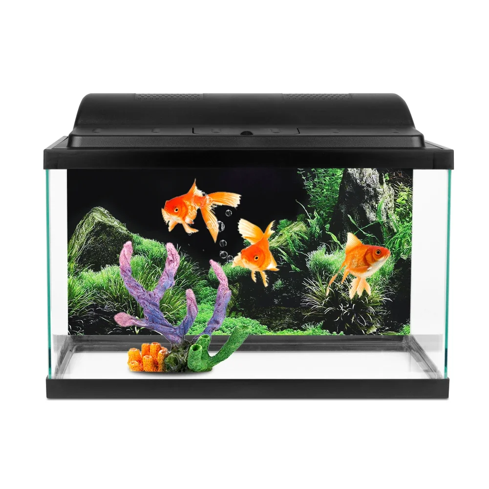 Hintergrund für Aquarium 3d Au – Aquarium Fish For Sale Online Bewertung und Preis