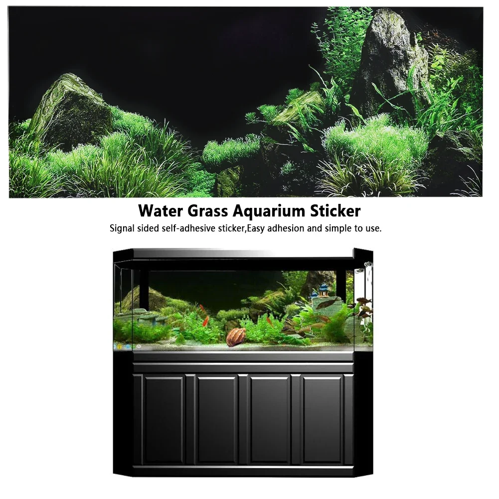 Hintergrund für Aquarium 3d Au – Aquarium Fish For Sale Online Bewertung und Preis