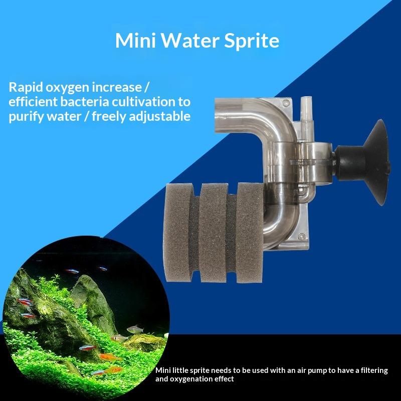 Heißer Verkauf - Mini-Aquarium – Aquarium Fish For Sale Online Bewertung und Preis