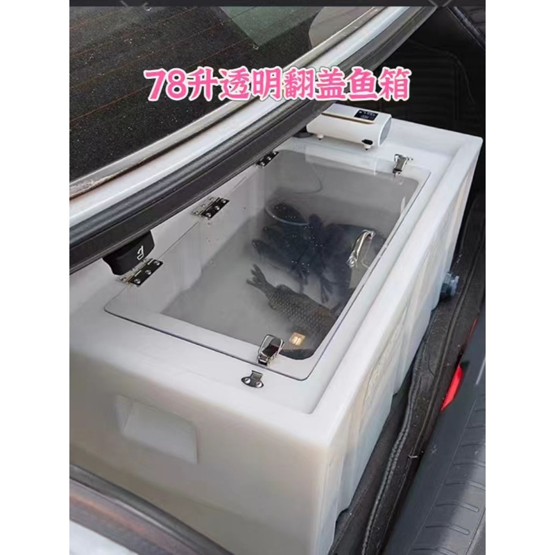 Fischbehälter für den Autobere – Live Fish Aquarium Bewertung und Preis