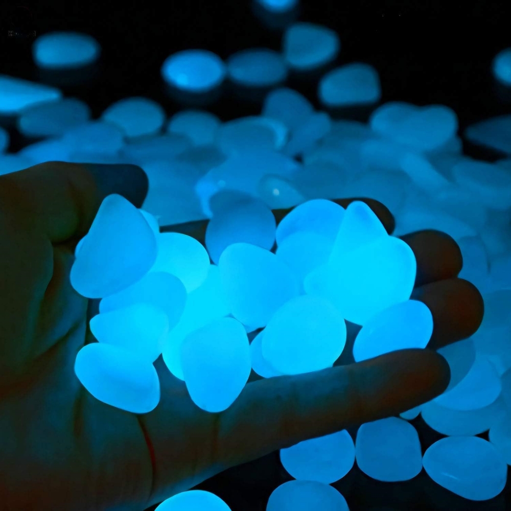 Indoor Outdoor Gartensteine Aq – Aquarium Fish That Glow In The Dark Bewertung und Preis