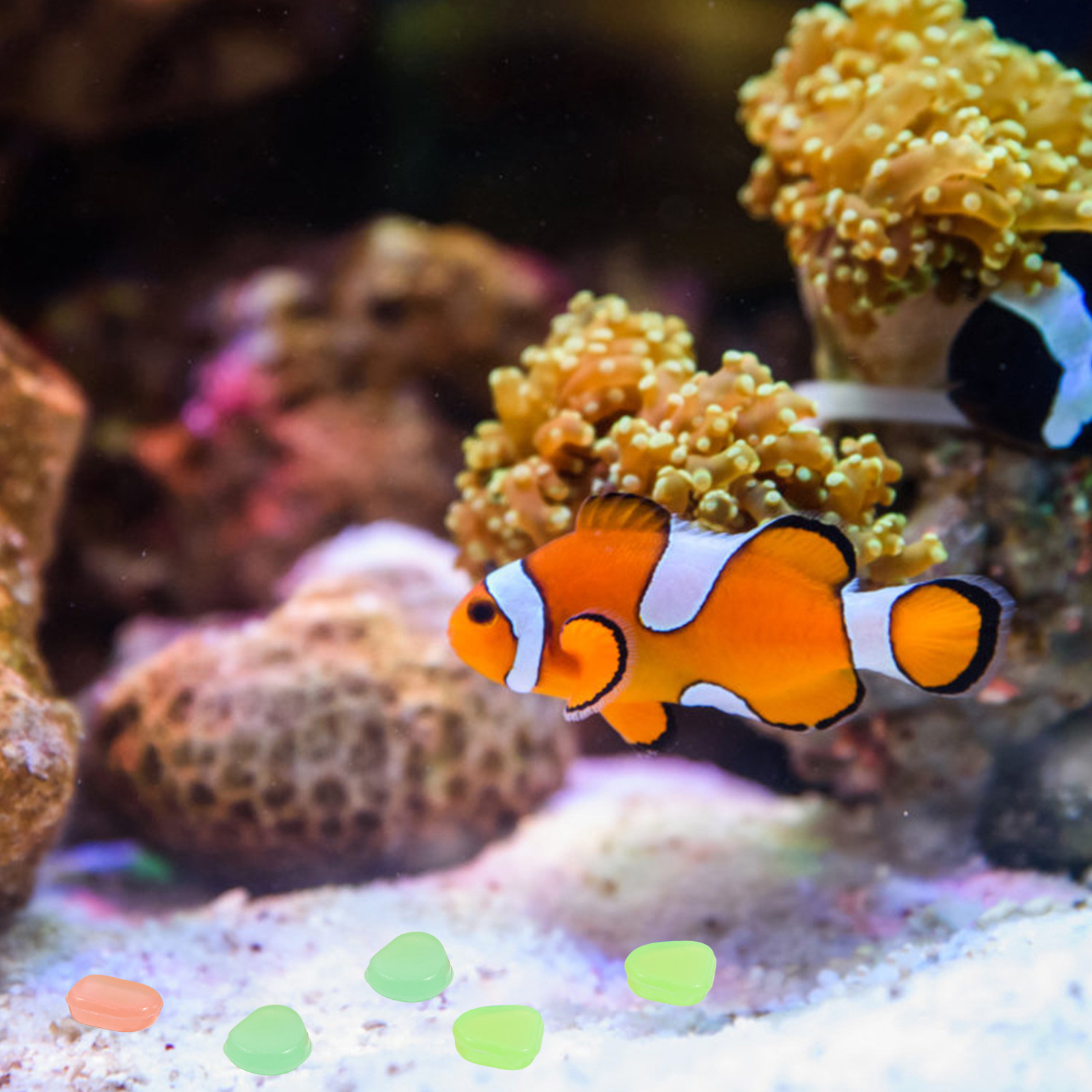 400 Stück Nachtleuchtende Stei – Aquarium Fish That Glow In The Dark Bewertung und Preis