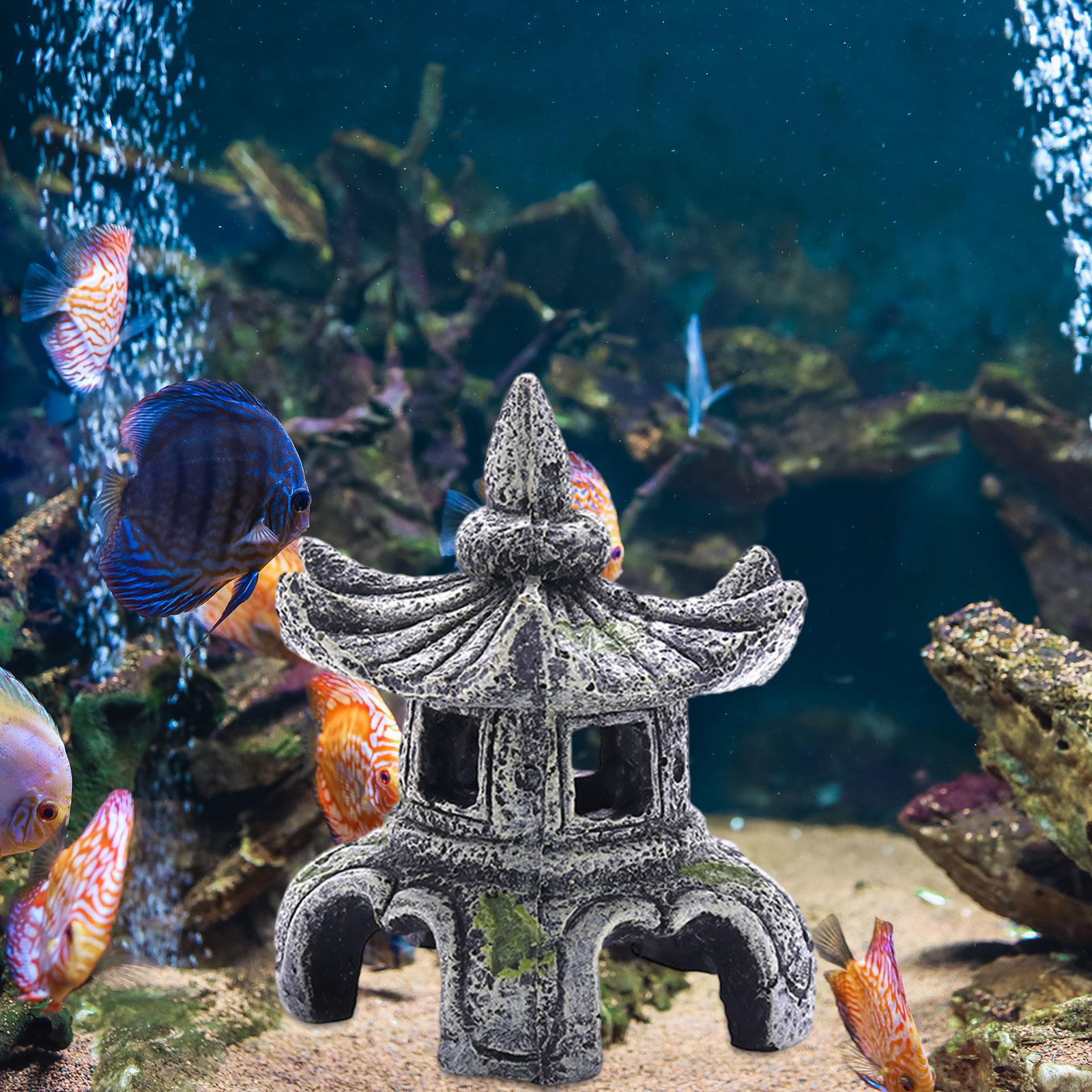Aquarium Ornament Aquarium Zub – Aquarium Fish For Sale Online Bewertung und Preis