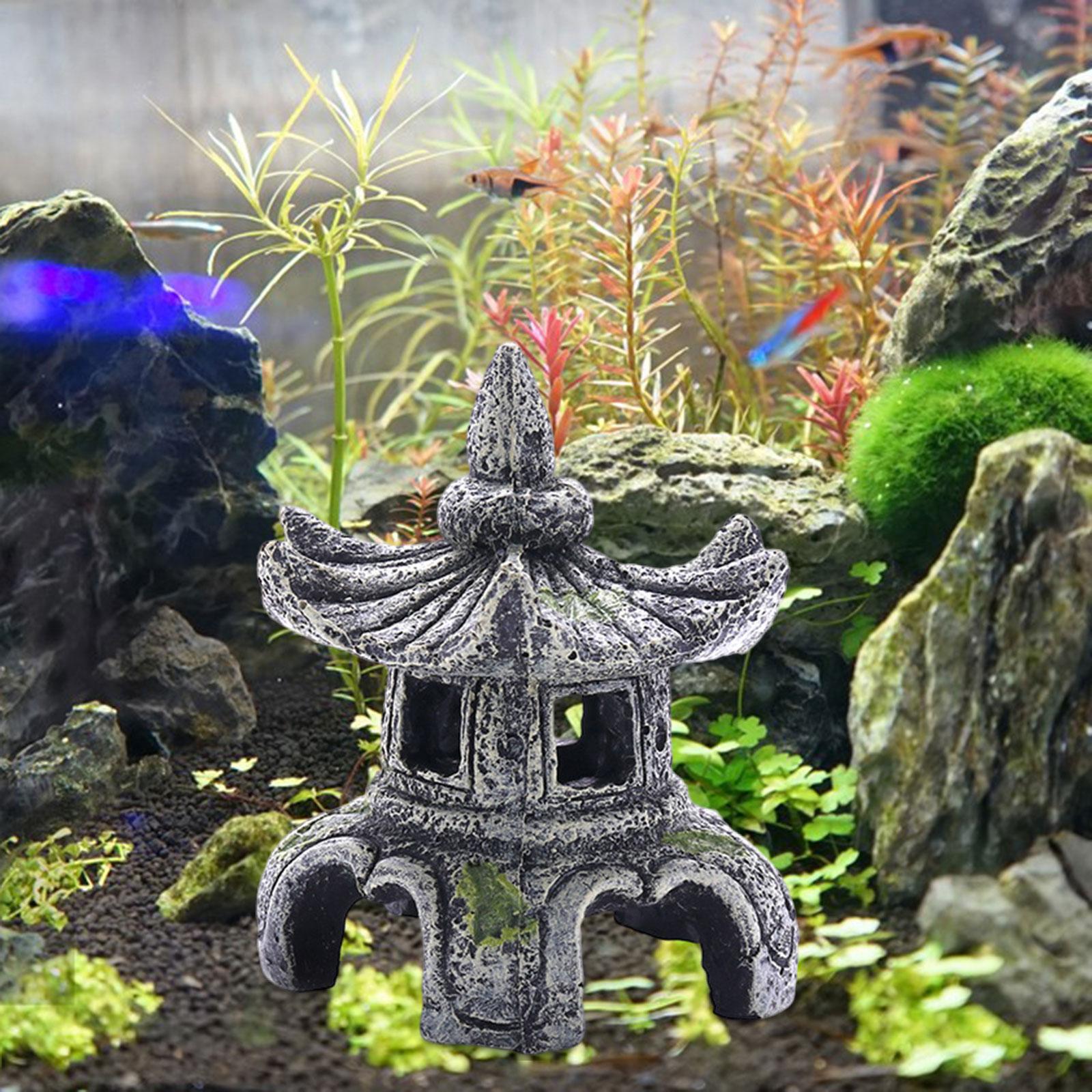 Aquarium Ornament Aquarium Zub – Aquarium Fish For Sale Online Bewertung und Preis