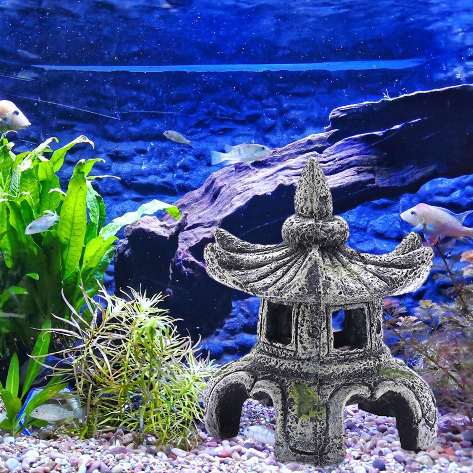 Aquarium Ornament Aquarium Zub – Aquarium Fish For Sale Online Bewertung und Preis