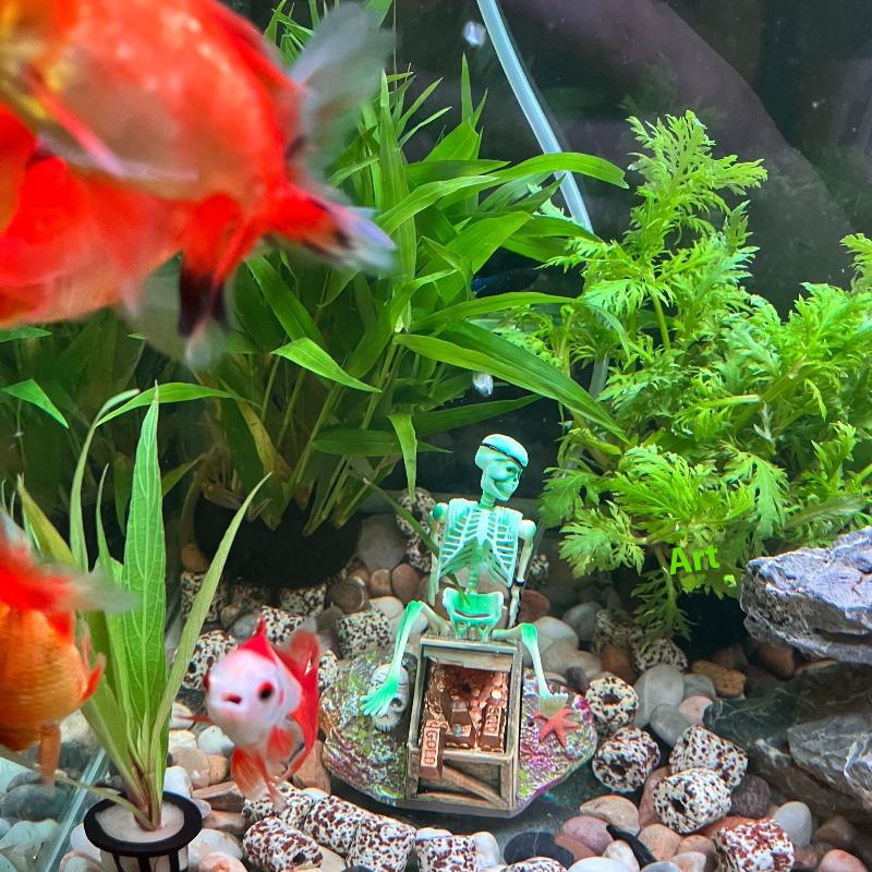 Aquarium Aerobic Landschaft Bl – Aquarium Fish For Sale Online Bewertung und Preis