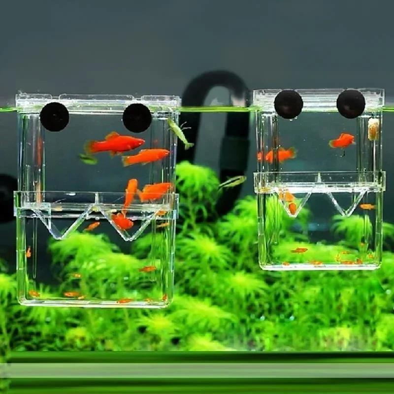 Transparente Fisch Aquarium Ho – Live Fish Aquarium Bewertung und Preis