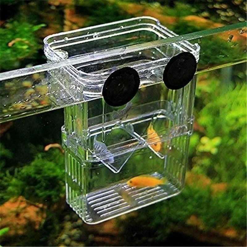 Transparente Fisch Aquarium Ho – Live Fish Aquarium Bewertung und Preis