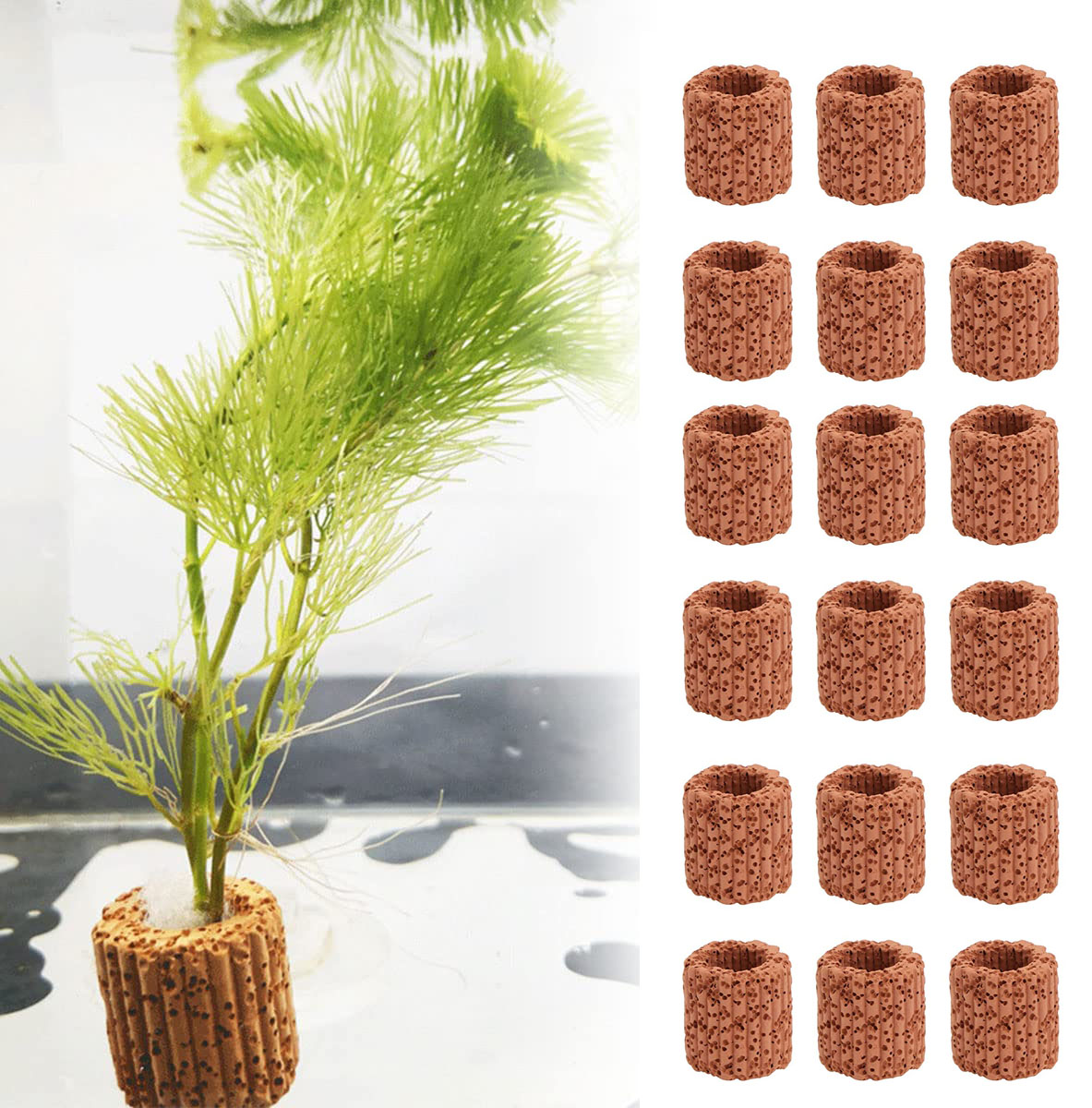 10/20pcs Wasser wasser pflanze – Aquarium Fish For Sale Online Bewertung und Preis