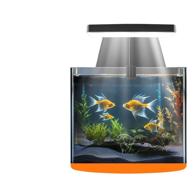 USB-Aquarium-Clipleuchte mit F – Aquarium Fish Light Bewertung und Preis