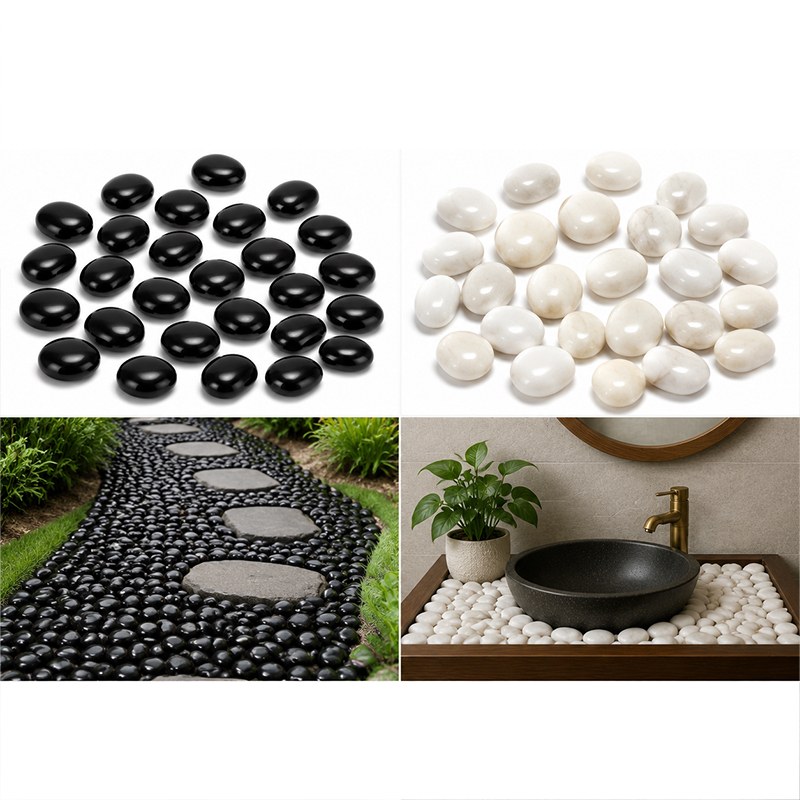 Weiß-schwarze polierte Flussst – Aquarium Fish Black Bewertung und Preis