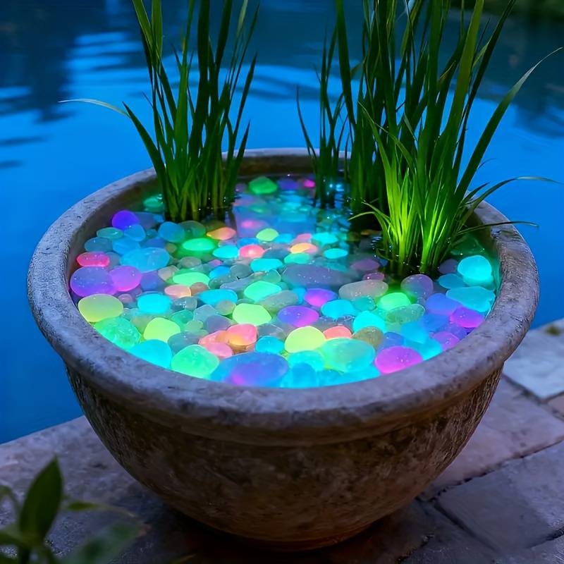 200 Stück im Dunkeln leuchtend – Aquarium Fish That Glow In The Dark Bewertung und Preis