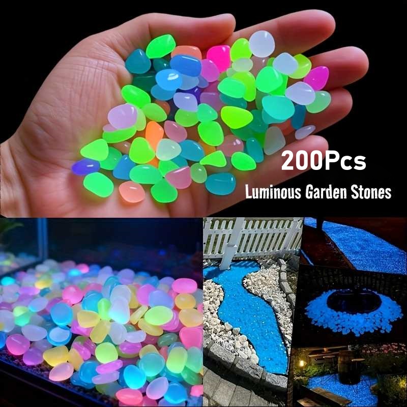 200 Stück im Dunkeln leuchtend – Aquarium Fish That Glow In The Dark Bewertung und Preis