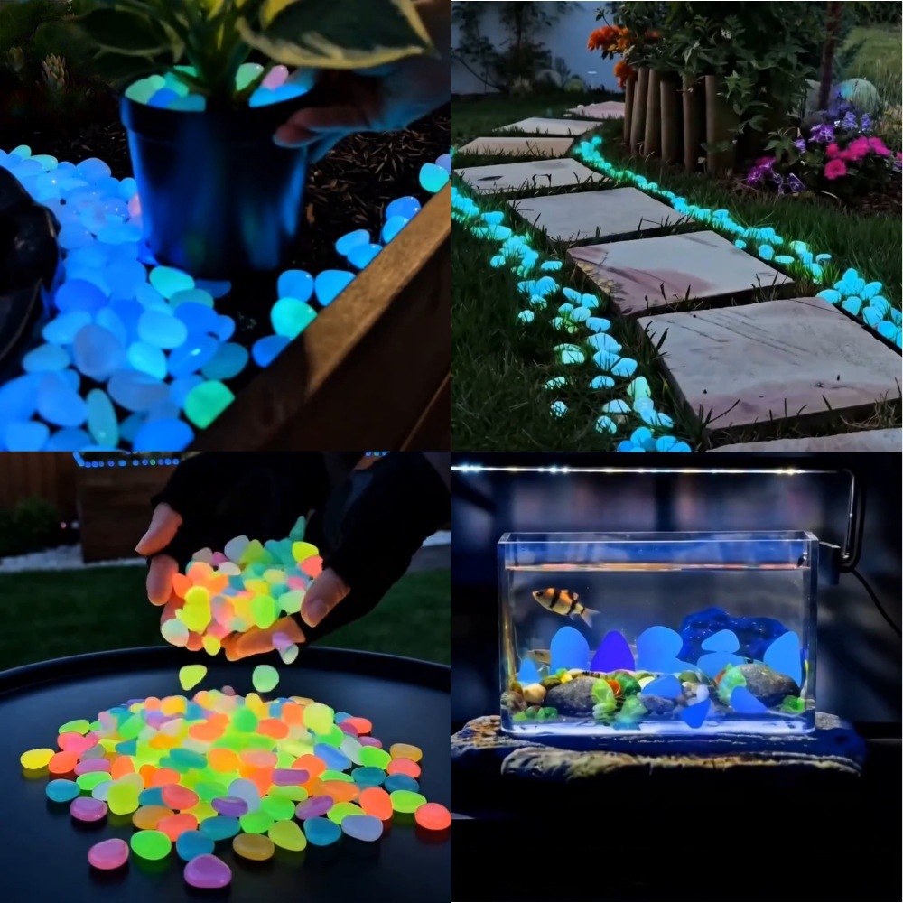 Bunte, im Dunkeln leuchtende K – Aquarium Fish Light Bewertung und Preis