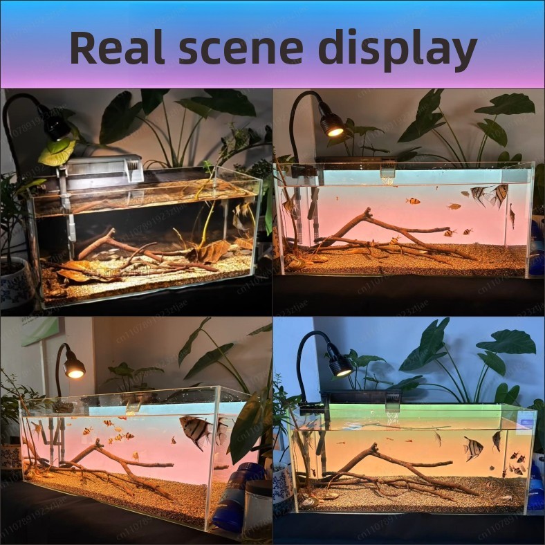 Schwarzes Acryl-Aquarium-Hinte – Aquarium Fish Light Bewertung und Preis
