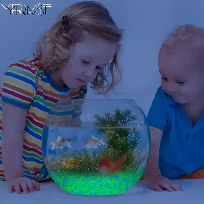1000 Stück 3–5 mm leuchtender  – Aquarium Fish That Glow In The Dark Bewertung und Preis