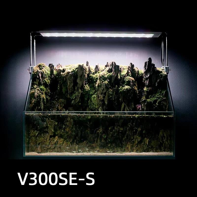 V300SE Bestpreis 30-40cm Süßwa – Aquarium Fish And Price Bewertung und Preis