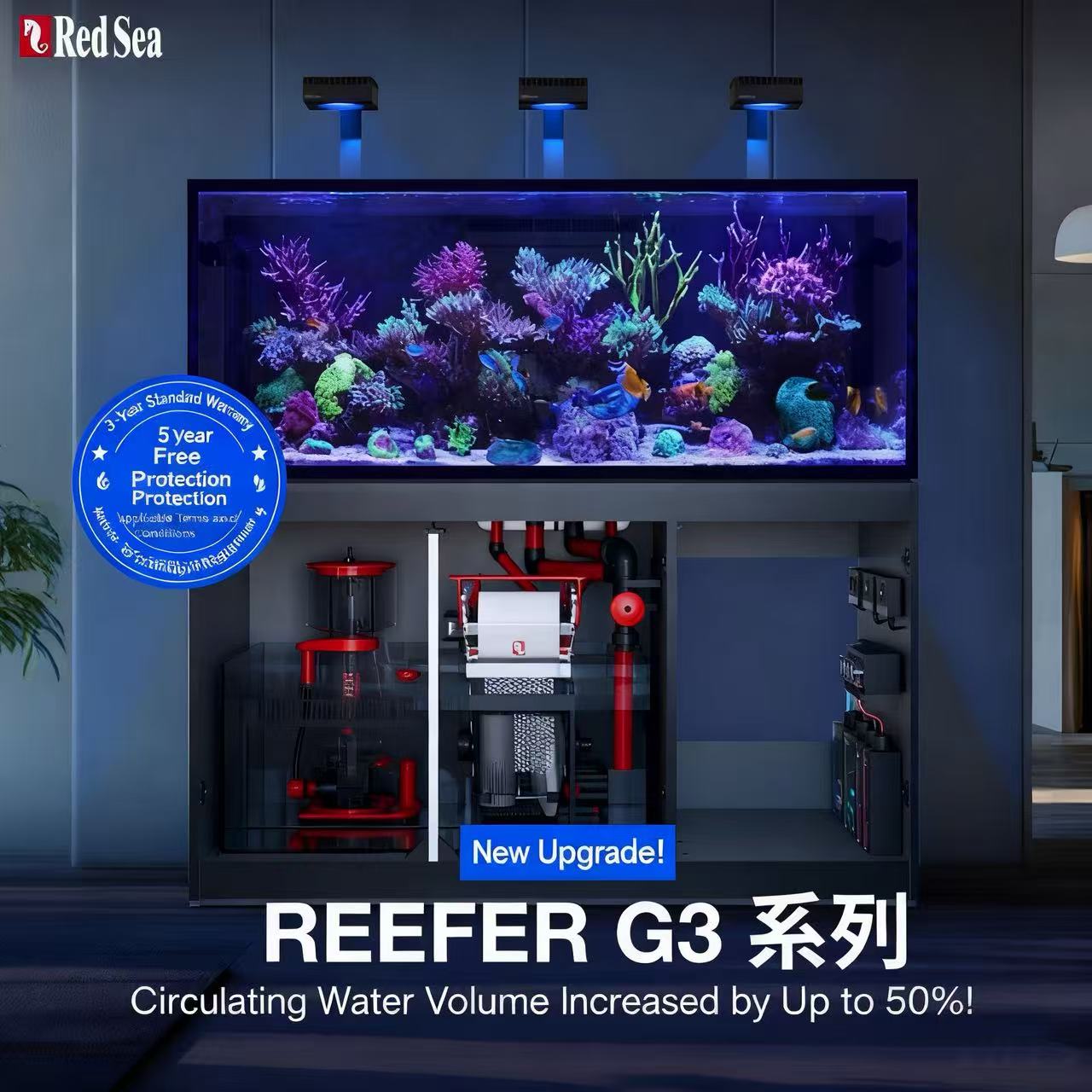 2026 Heiß begehrter Großhandel – Aquarium Fish And Price Bewertung und Preis