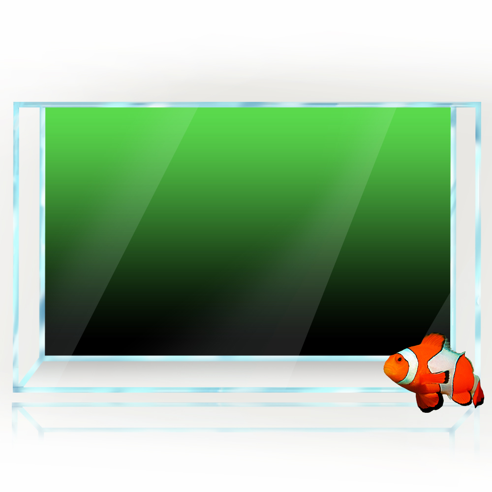 Aquarium Hintergrund Aufkleber – Aquarium Fish Black Bewertung und Preis