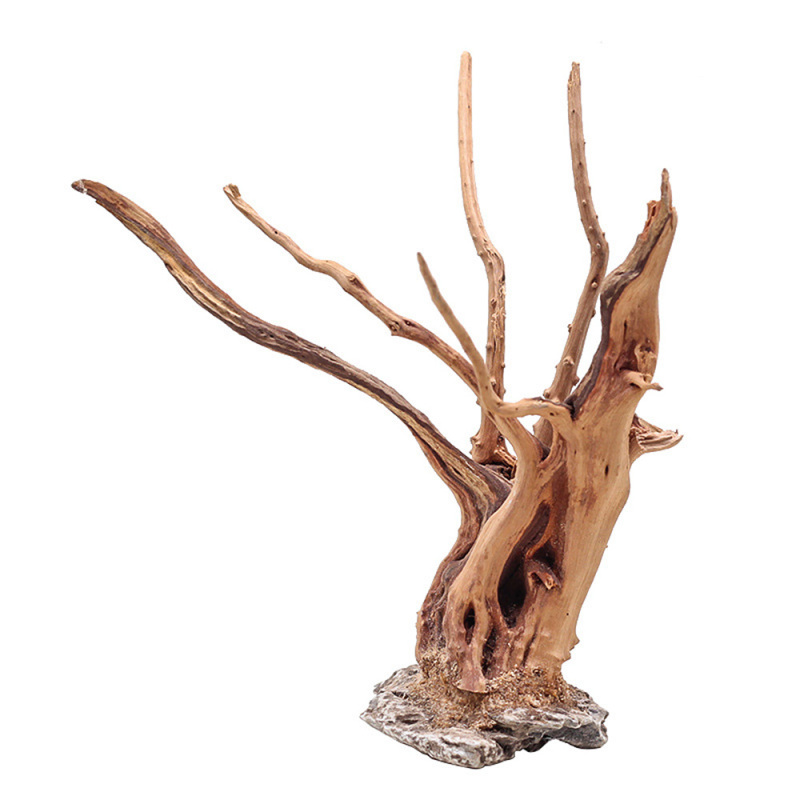 1PC Aquarium Landschaftsbau Ho – Aquarium Fish For Sale Online Bewertung und Preis