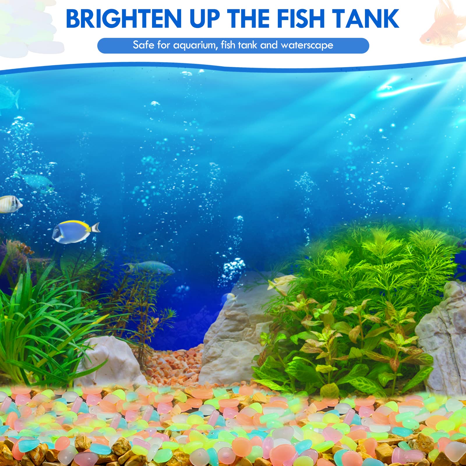 100 Stück im Dunkeln leuchtend – Aquarium Fish That Glow In The Dark Bewertung und Preis