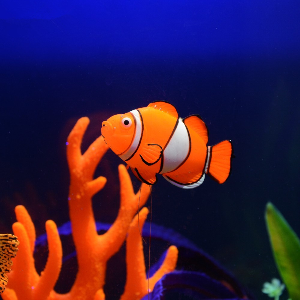Im Dunkeln Leuchtende Silikon- – Aquarium Fish That Glow In The Dark Bewertung und Preis