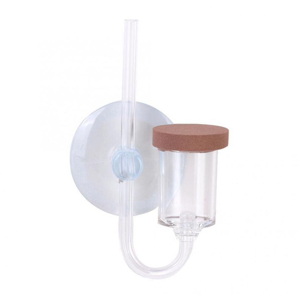 Acryl Mini Aquarium Live Pflan – Live Fish Aquarium Bewertung und Preis
