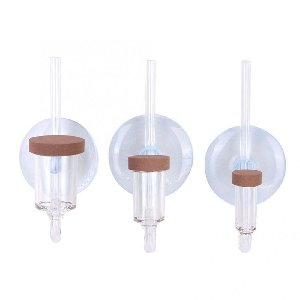 Acryl Mini Aquarium Live Pflan – Live Fish Aquarium Bewertung und Preis