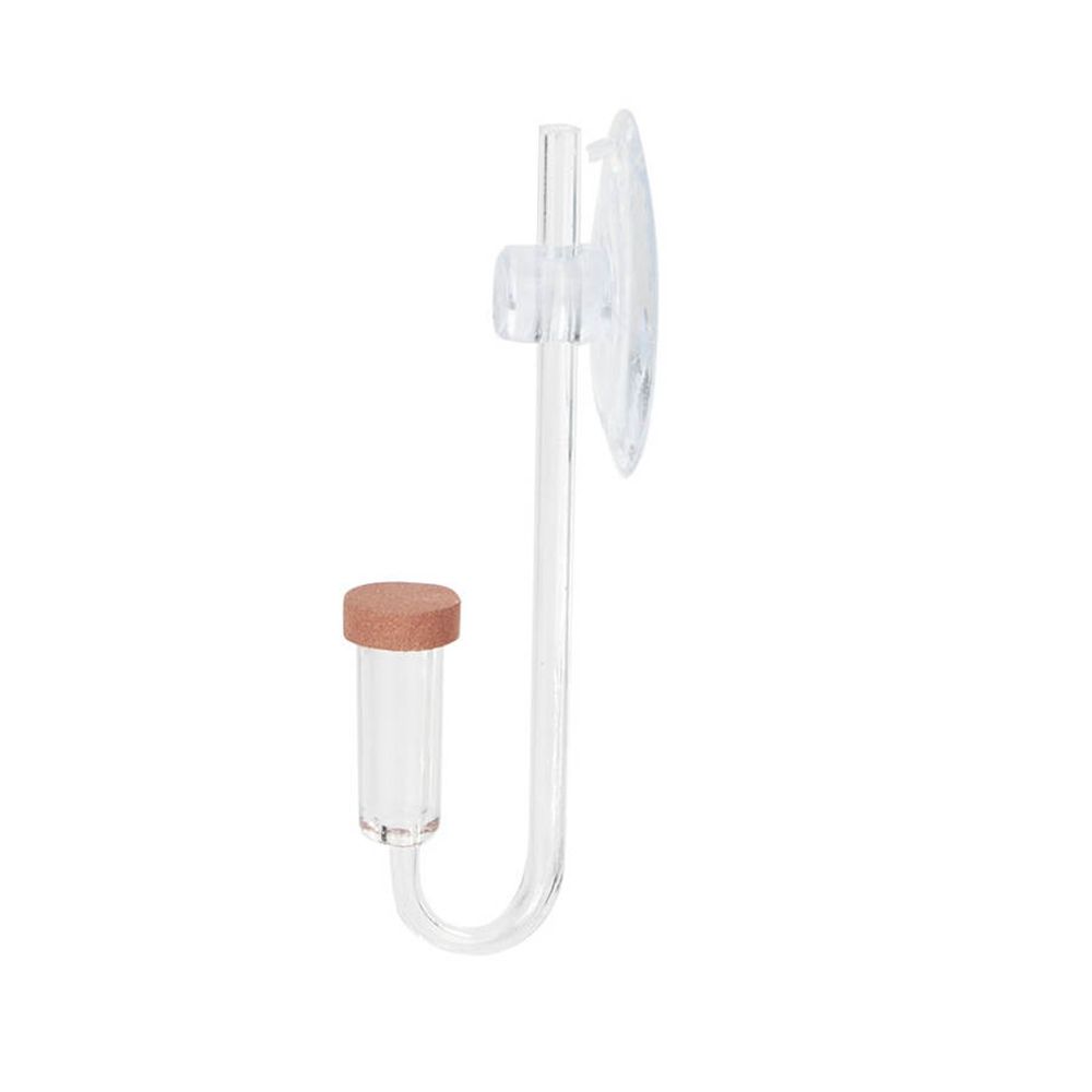 Acryl Mini Aquarium Live Pflan – Live Fish Aquarium Bewertung und Preis