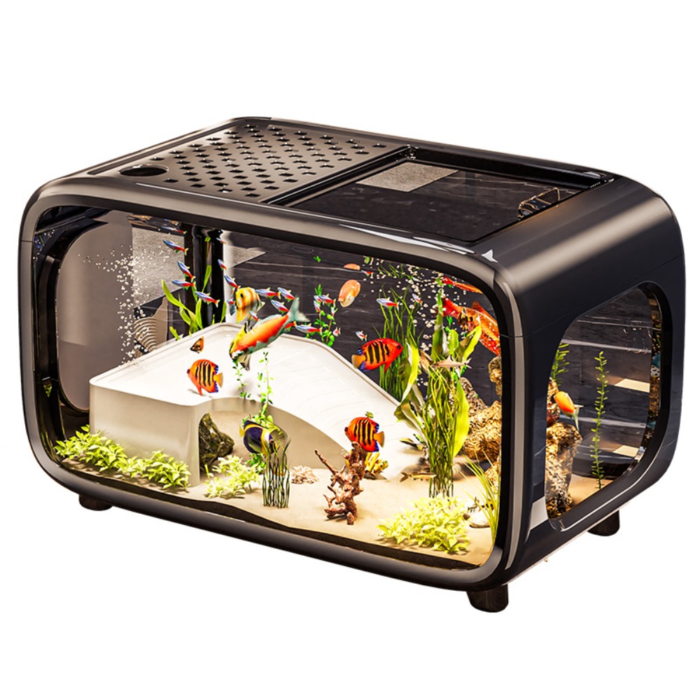 Kreatives Transparentes Ökolog – Live Fish Aquarium Bewertung und Preis