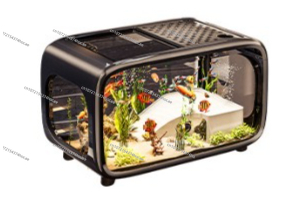 Kreatives Transparentes Ökolog – Live Fish Aquarium Bewertung und Preis