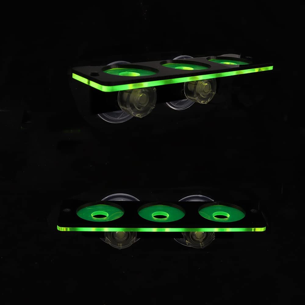Fluoreszierende Korallen Frag  – Aquarium Fish For Sale Online Bewertung und Preis