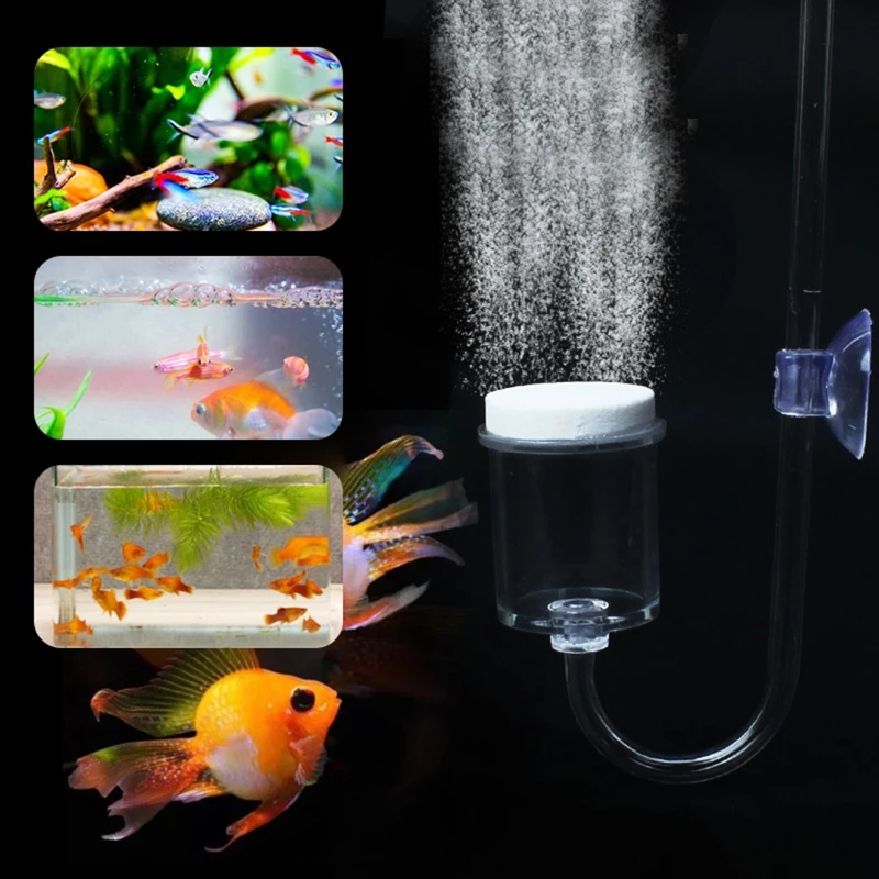 4 stücke Set DIY CO2-Diffusor  – Live Fish Aquarium Bewertung und Preis